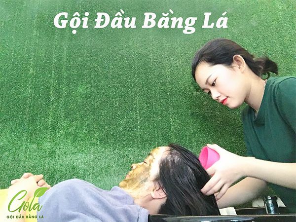 Hình ảnh GoLa Gội Đầu Bằng Lá 1