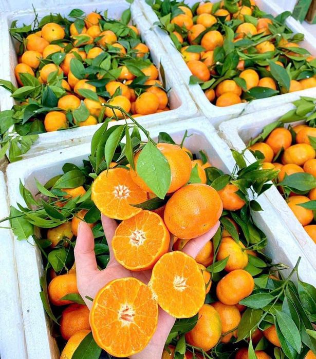 Kim Ngân Fruits - Hình 2