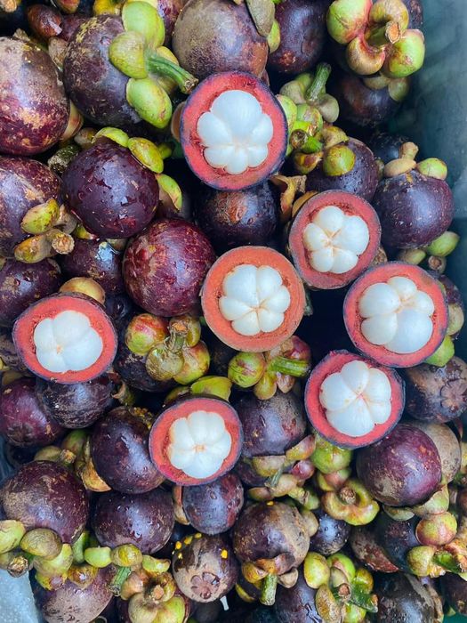 PT 2000 Fruits - Hình 1