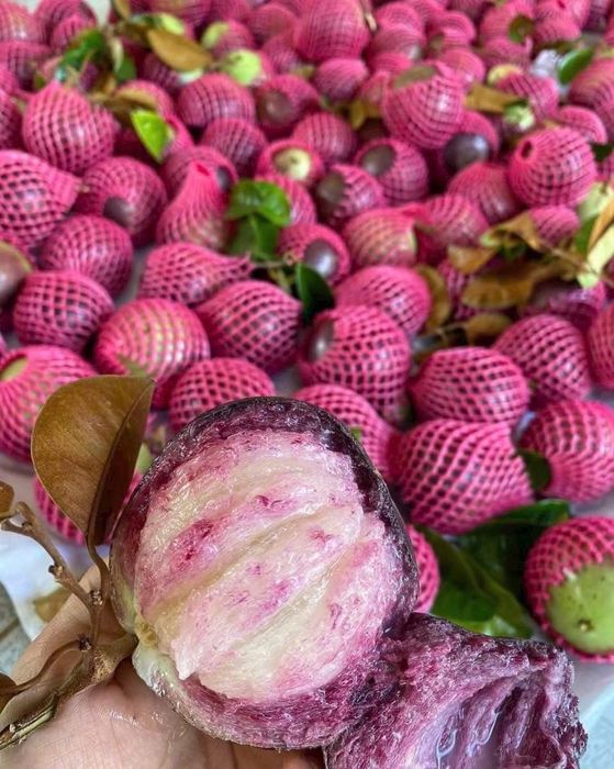 Hình ảnh 1 của ChuFruits