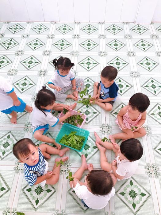 Hình ảnh Trường Mầm Non Kim Đồng - Bình Thạnh 2