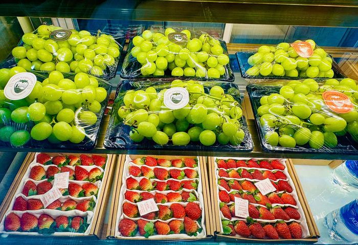 Hình ảnh 1 của Vườn xanh của Hạ
