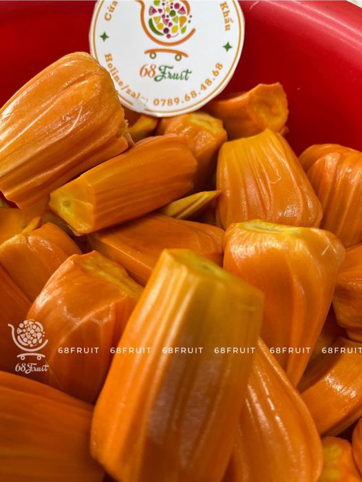 68 Fruit hình ảnh 2