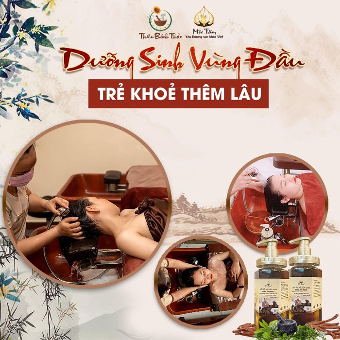 DƯỠNG SINH TÂM AN - Ảnh 1