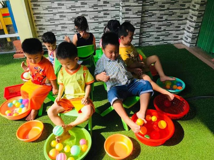 Trường Mầm non Sen Việt - Lotus Kindergarten hình ảnh 1