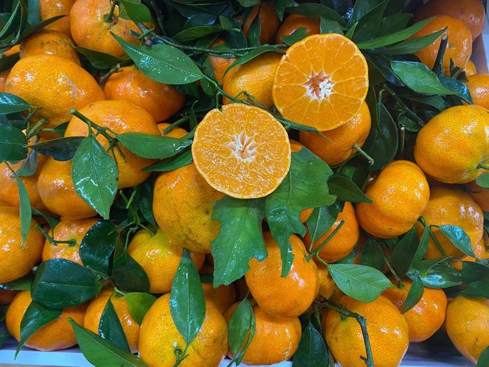 Hình ảnh Cherry Fruit - Trái Cây Nhập Khẩu 2