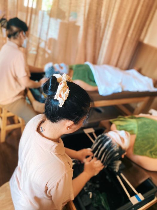 Hình ảnh của LÚA MẠCH SPA 1