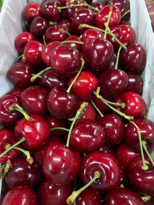 Hình ảnh Quế Lâm 2