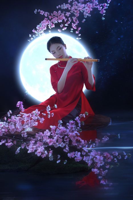 Donald Studio - Ảnh 1