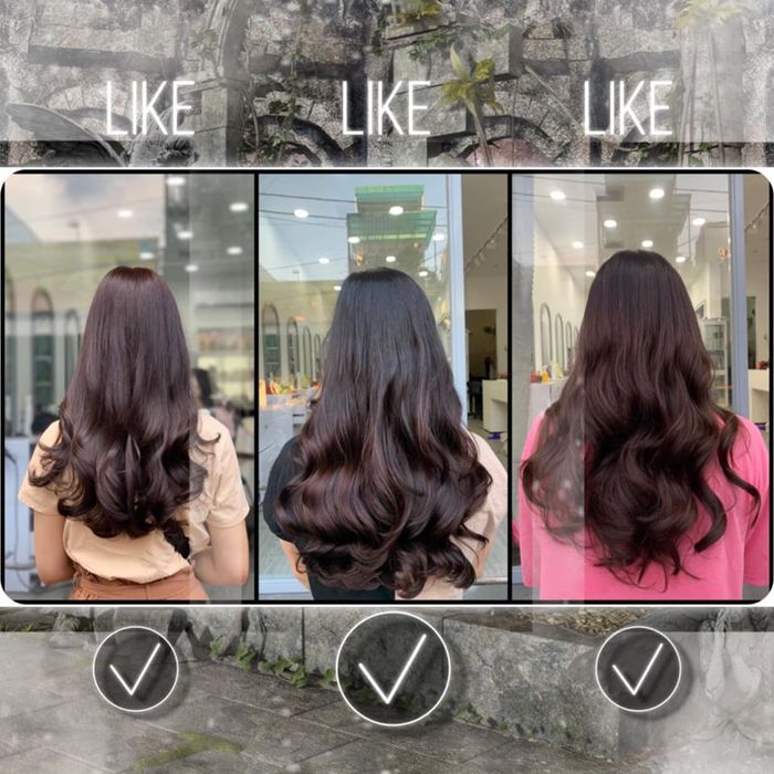 Ảnh 1 của Salon Yến