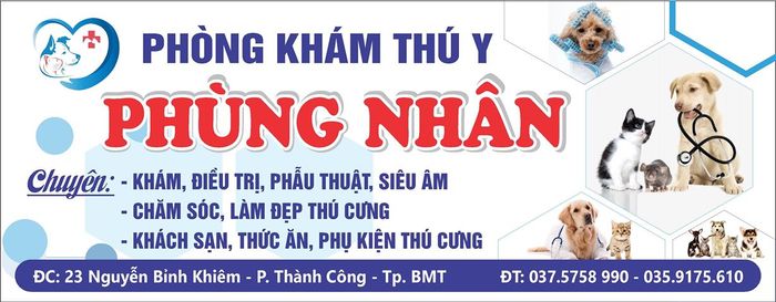 Hình ảnh 2 của Thẩm Mỹ Phượng Anh Academy