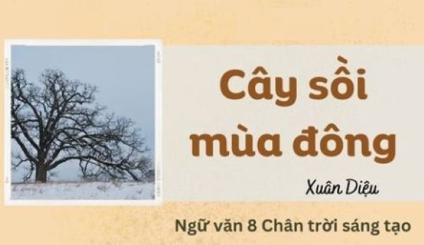 Minh họa (Từ internet) hình ảnh 1