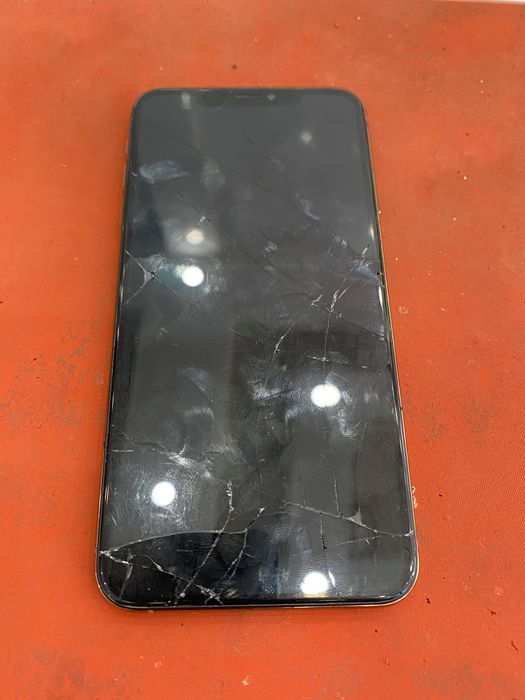 Hình ảnh Chung Apple 2