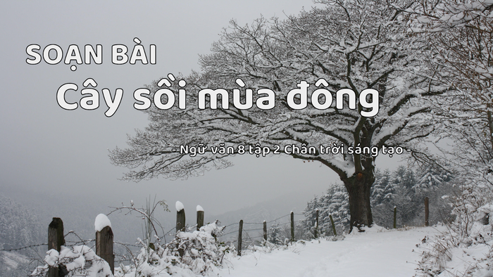 Hình minh họa (Nguồn: Internet) ảnh 1