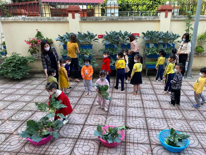 Hình ảnh Trường Mầm Non Hoa Sen - 2