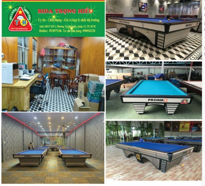 Hình ảnh của Bida Trọng Hiếu - 1