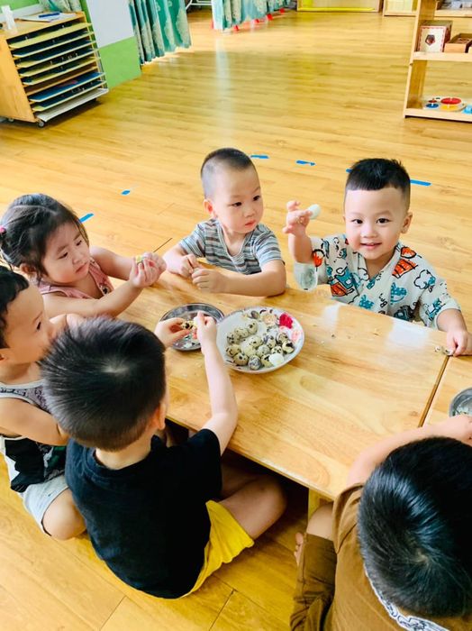 Ảnh 2 của trường Mầm non Sunny