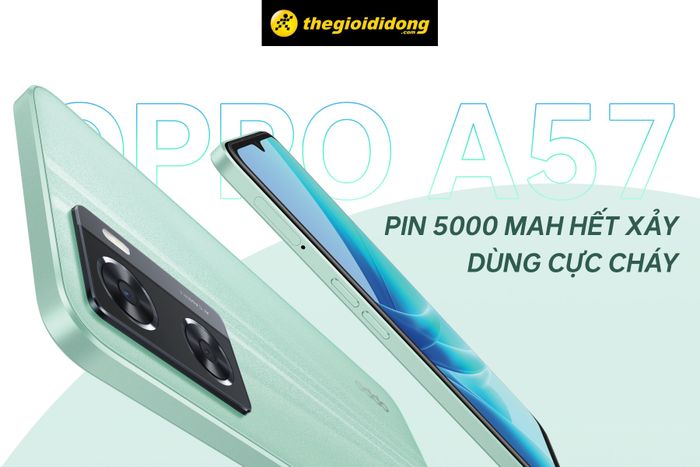 Hình ảnh 1 của Thế Giới Di Động