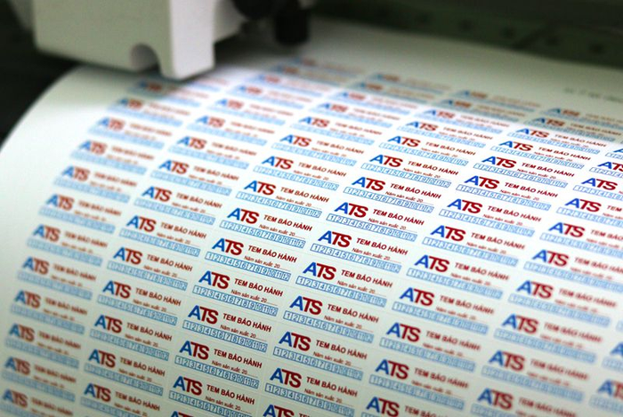 Hình ảnh TMT Việt Nam 2