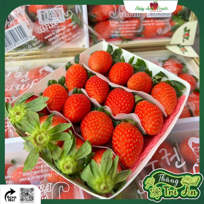 Hình ảnh Thủy Anh Fruits 1