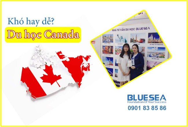 Công ty Tư vấn Du học BlueSea hình ảnh 1