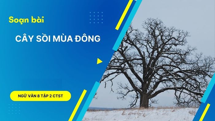 Ảnh minh họa (Nguồn internet) hình 1