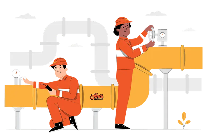 Hình ảnh Công ty Antshome