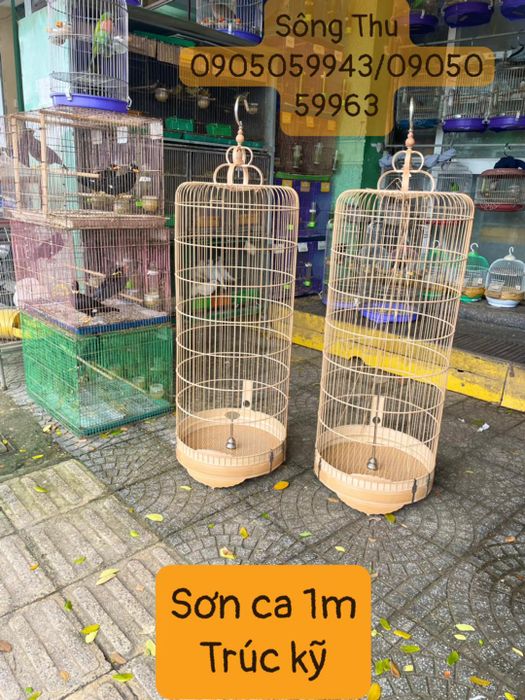 Hình ảnh 1 của Chim Cảnh Sông Thu