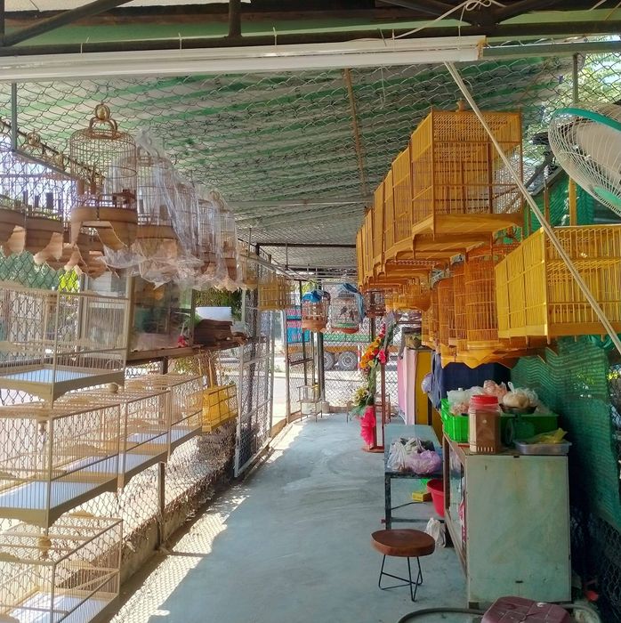 Hình ảnh 1 của Tiệm chim cảnh Linh Mập
