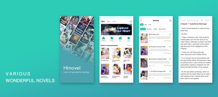 Hình ảnh Hinovel 1