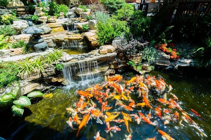 Hình ảnh 2 của Trầm Koi Garden Coffee