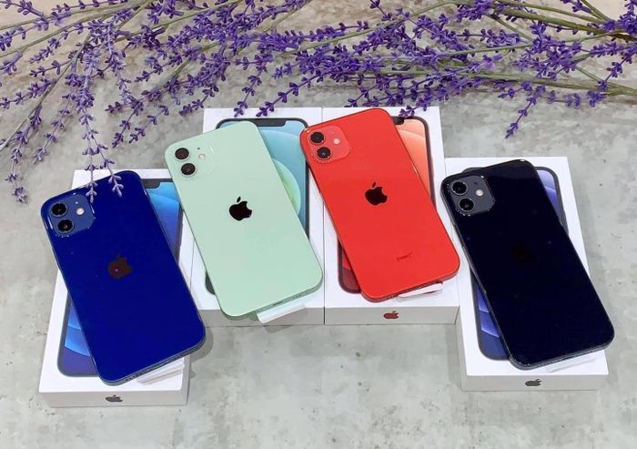 Ảnh 1 - ZinPhone BMT