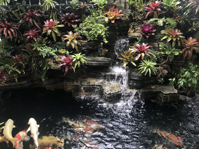 Ảnh 2 của Xanh House Garden