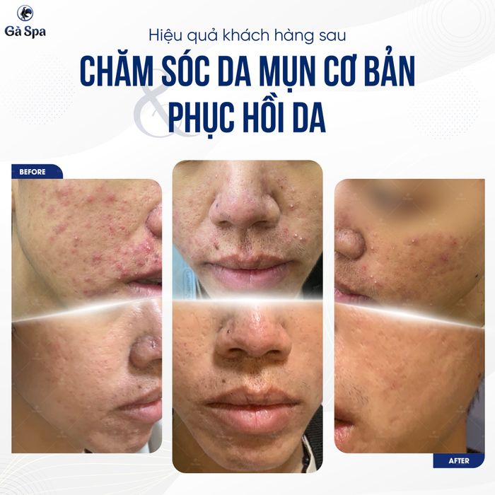 Hình ảnh 2 của Gà Spa Long An