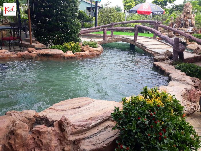 Ảnh của Dịch vụ Koi 2