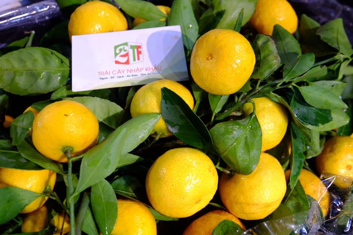 2TF Trái Cây Nhập Khẩu - Hình ảnh 1