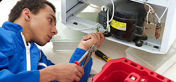 Hình minh họa (Nguồn: Internet) hình 1