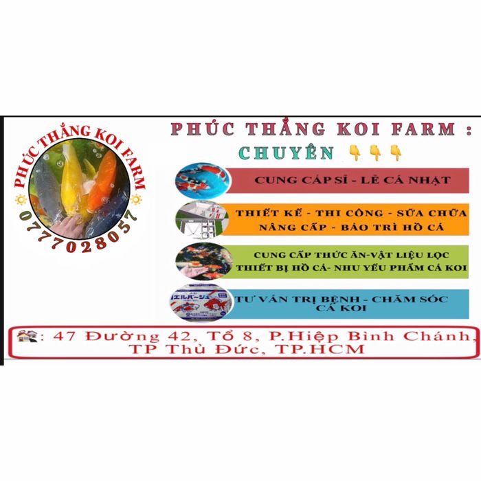 Hình ảnh Phúc Thắng Koi Farm 1