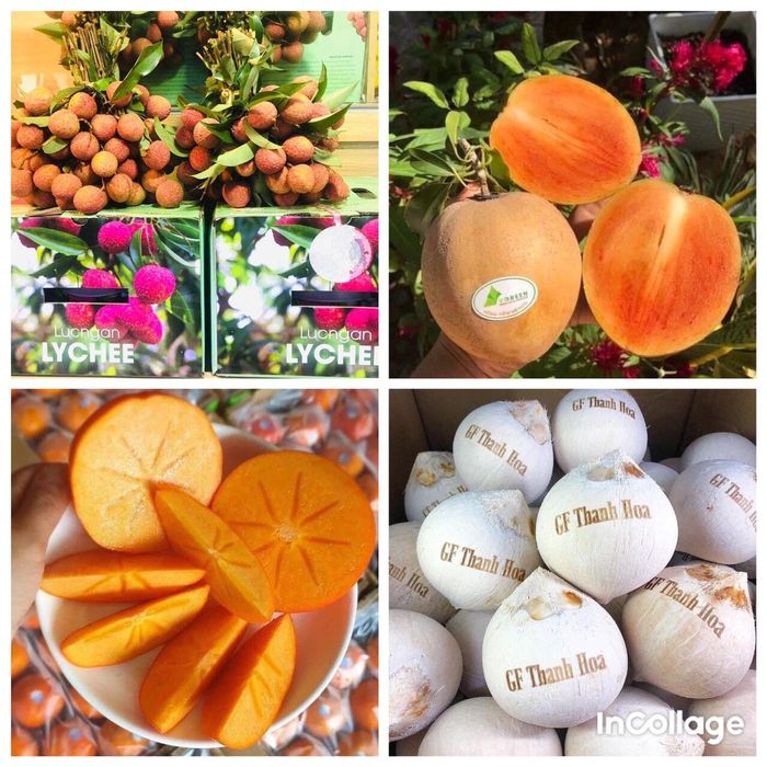 Hoa quả sạch Goldfruit - Hình ảnh 2