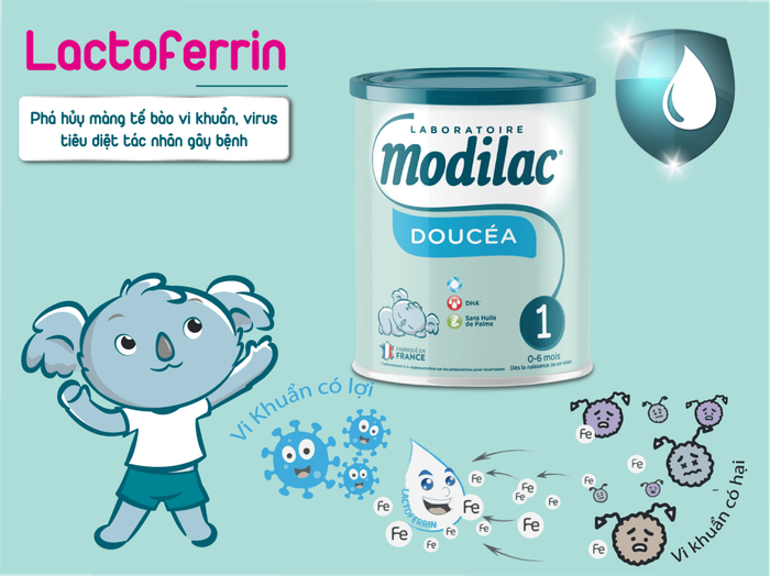 Sữa Modilac – Nhập khẩu nguyên lon từ Pháp, hàng nội địa (Ảnh 2)