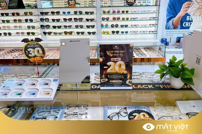Hình ảnh Mắt Việt 1