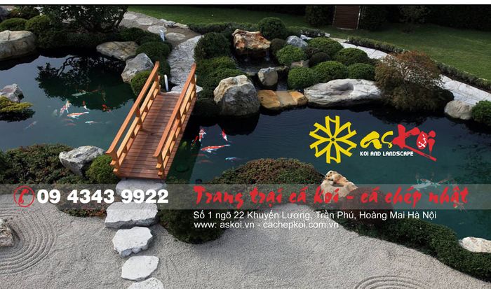 Hình Ảnh As Koi Farm - Cá Chép Nhật 1