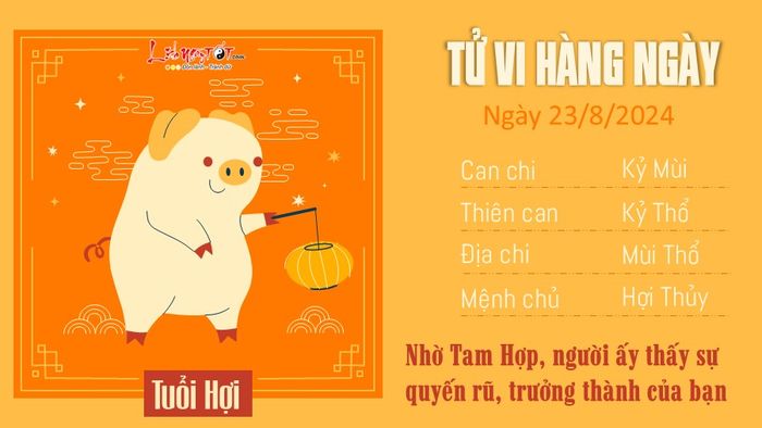 Dự đoán hàng ngày 23/8/2024 cho 12 con giáp - tuổi Hợi