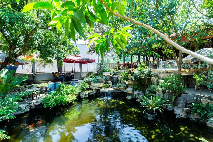Hình ảnh 3 của Trầm Koi Garden Coffee