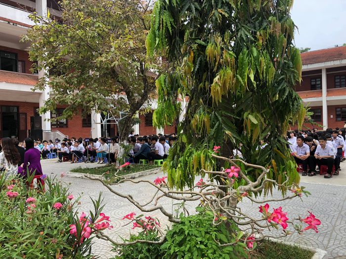 Trường Hermann Gmeiner Đà Nẵng - Hình ảnh 1
