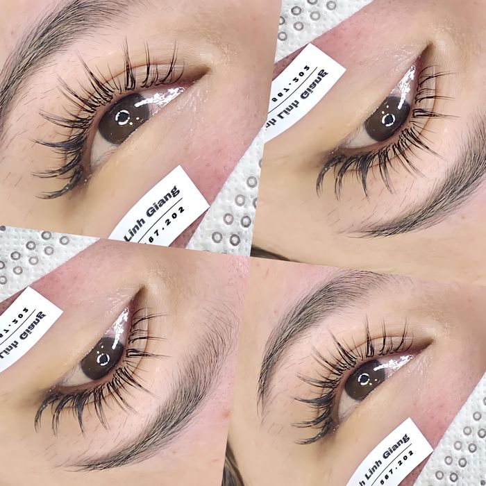 Hình ảnh 2 từ Đinh Linh Giang nối mi