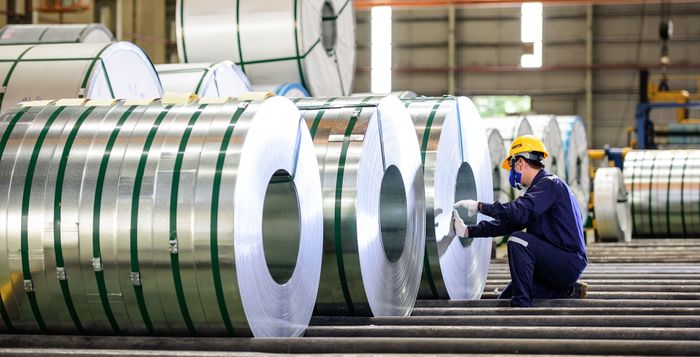 CÔNG TY CỔ PHẦN TẬP ĐOÀN HOA SEN - Hình ảnh 2