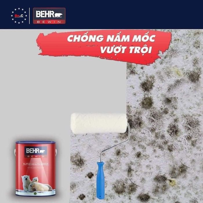 Cửa hàng Vật Liệu Xây Dựng Thiện Nhân - Hình 3