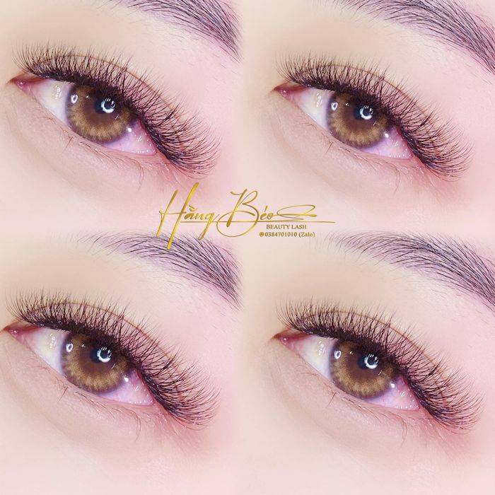 Ảnh 1 của Hằng Béo Beauty Lashes
