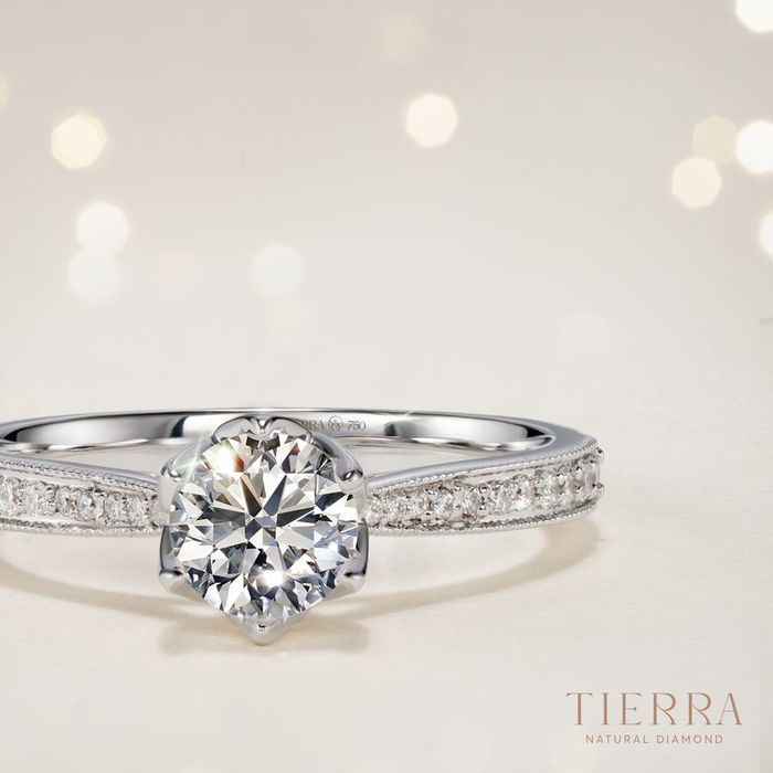 Hình ảnh 1 của Tierra Diamond Jewelry